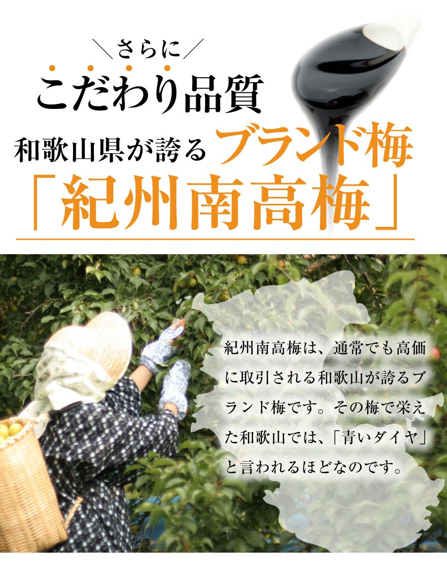 青梅の果汁を煮詰めて作る昔からの梅の健康食品 【梅エキス（梅肉