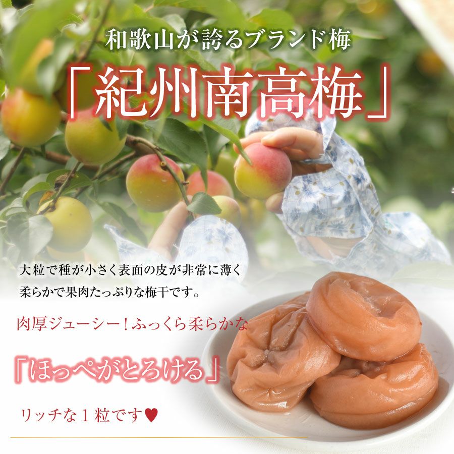 種なし梅干し 【華結（はなむすび）9粒入】 | 紀州梅干し専門店 福梅本舗