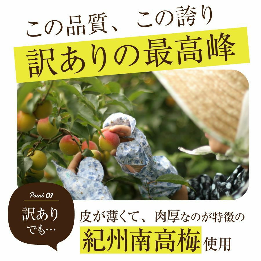 訳あり！【つぶれ梅干し 750g 】 数量限定！送料無料 | 紀州梅干し専門