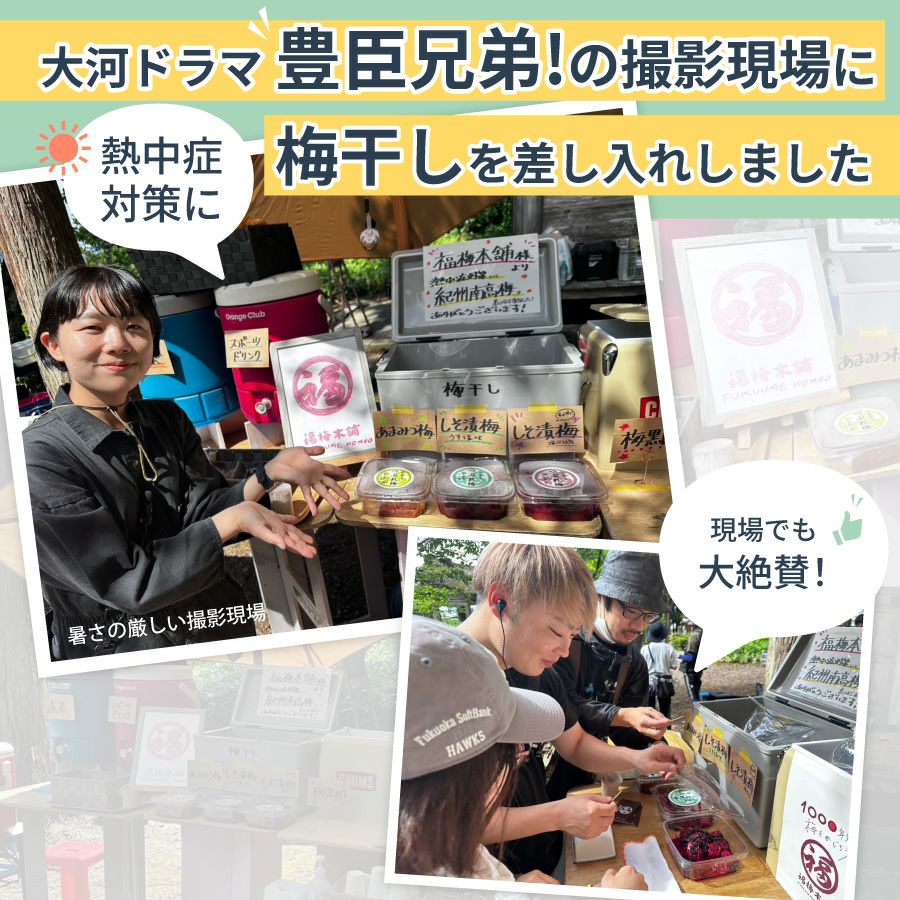 訳あり！【つぶれ梅干し 750g 】 数量限定！送料無料 | 紀州梅干し専門