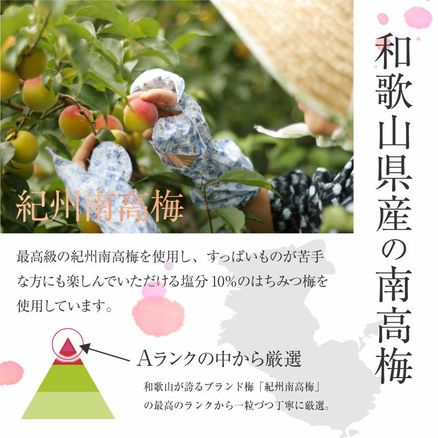 喜びくるむ梅 うめくるり 9粒入 | 紀州梅干し専門店 福梅本舗