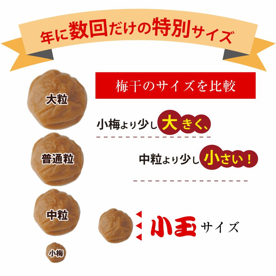 【⭐️ピカピカ⭐️ページ】南高梅干し 小玉【Mサイズ】（500g）✕6 特選紀州南高梅】小玉サイズ梅干し250g | 紀州梅干し専門店 福梅本舗
