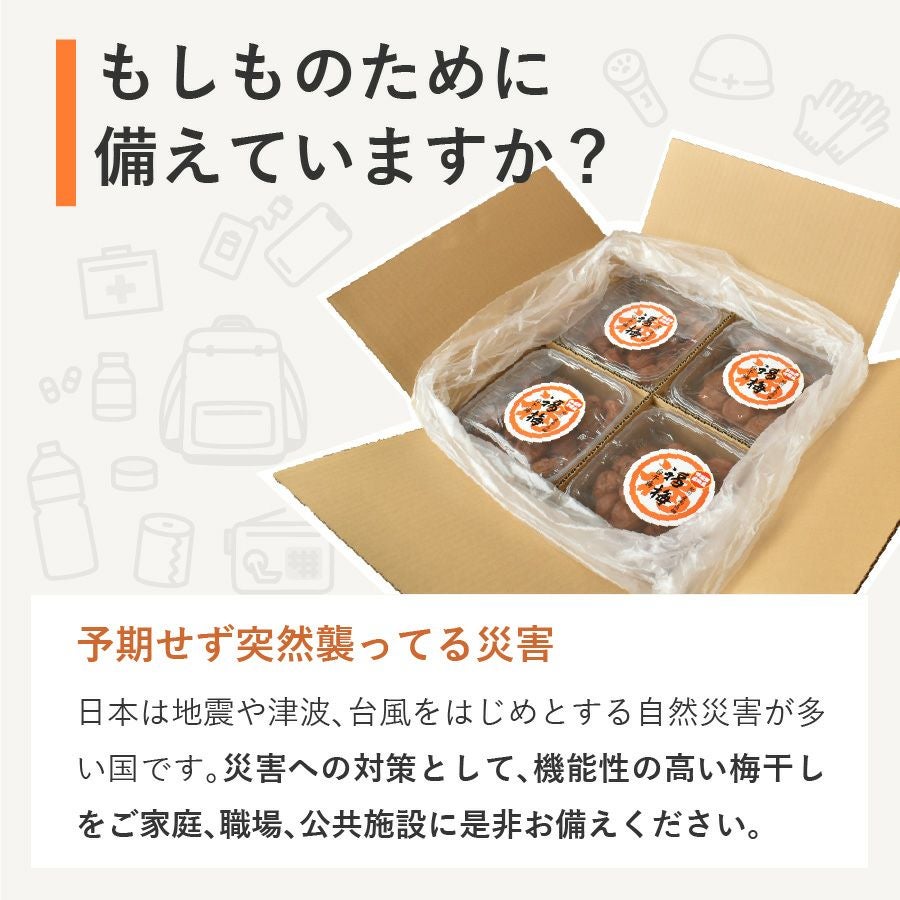 梅干し 無添加 災害時備蓄用 白干梅 750g×4パック（3kg）昔ながらの塩
