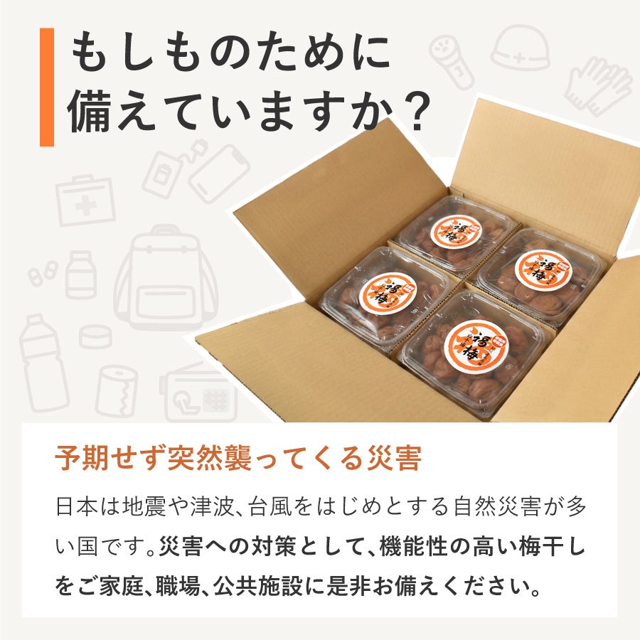 梅干し 無添加 【送料無料】災害時備蓄用 白干梅 750g×4パック（3kg）