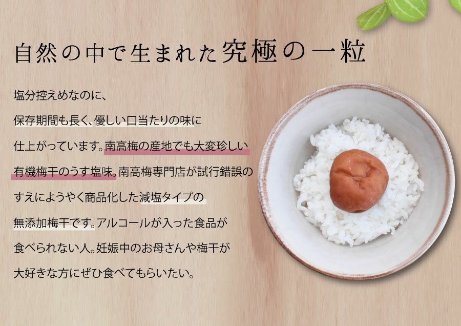 小梅干し 訳あり 昔ながらの梅干し 8kg 塩分約20% 無添加 紀州小梅 小梅干し 訳あり 昔ながらの梅干し 8kg 塩分約20% 無添加 紀州小梅