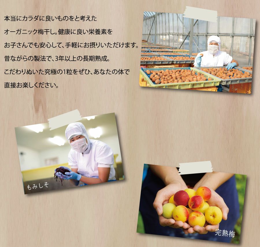 無添加 オーガニック 有機梅干し 紀州南高梅 梅干し 国産 無農薬