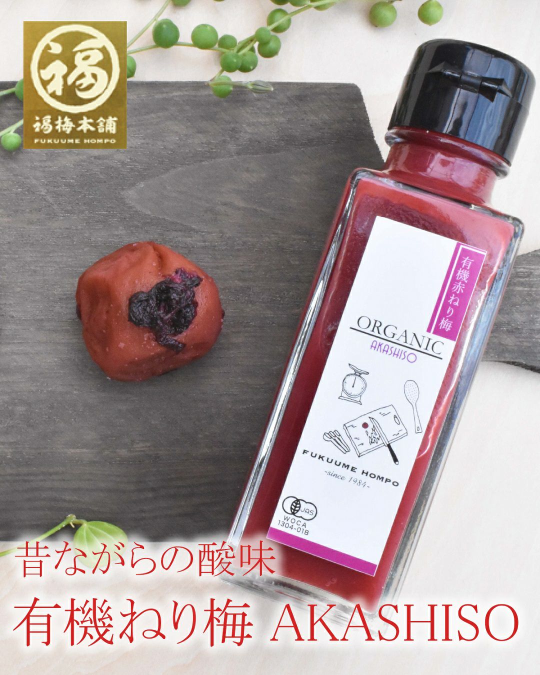 無添加 国産 オーガニック 紫蘇 有機梅 無農薬 紀州南高梅 有機ねり梅