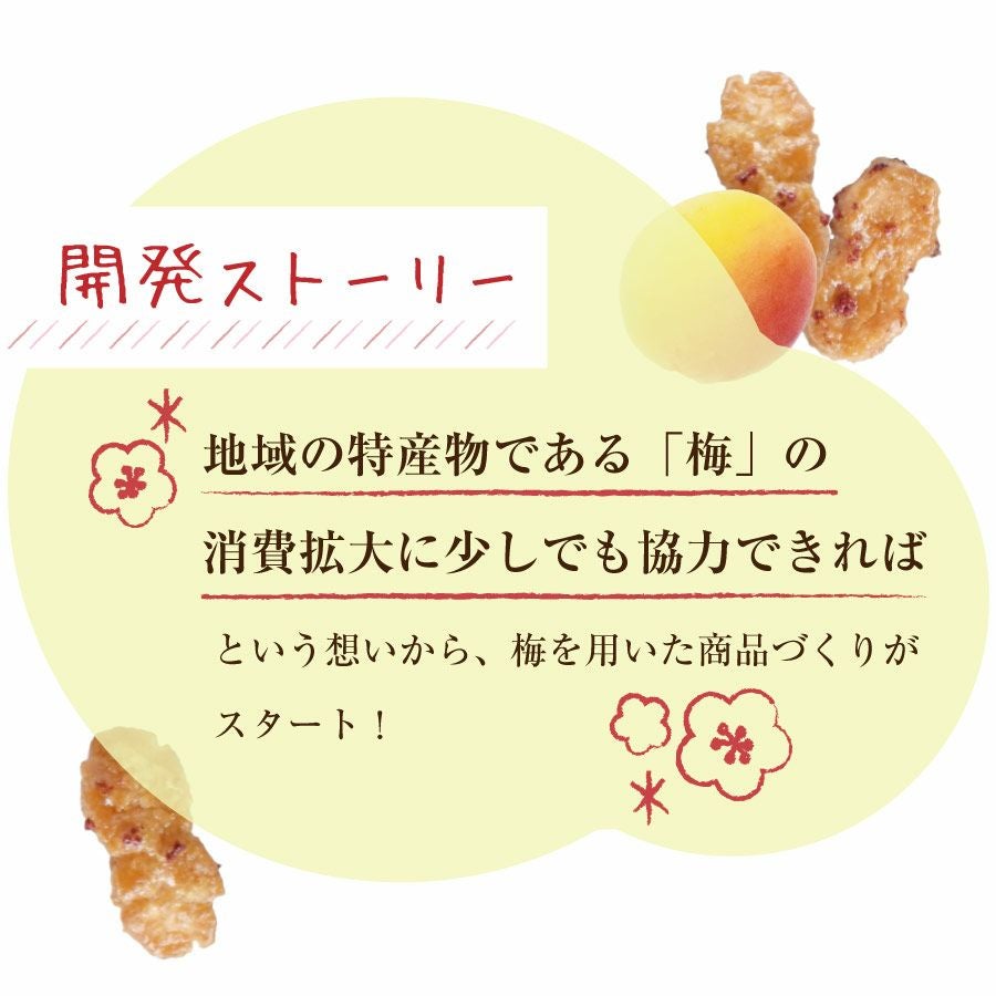 高校生たちが考えた絶品あられ【梅あられ100g】 | 紀州梅干し専門店 福