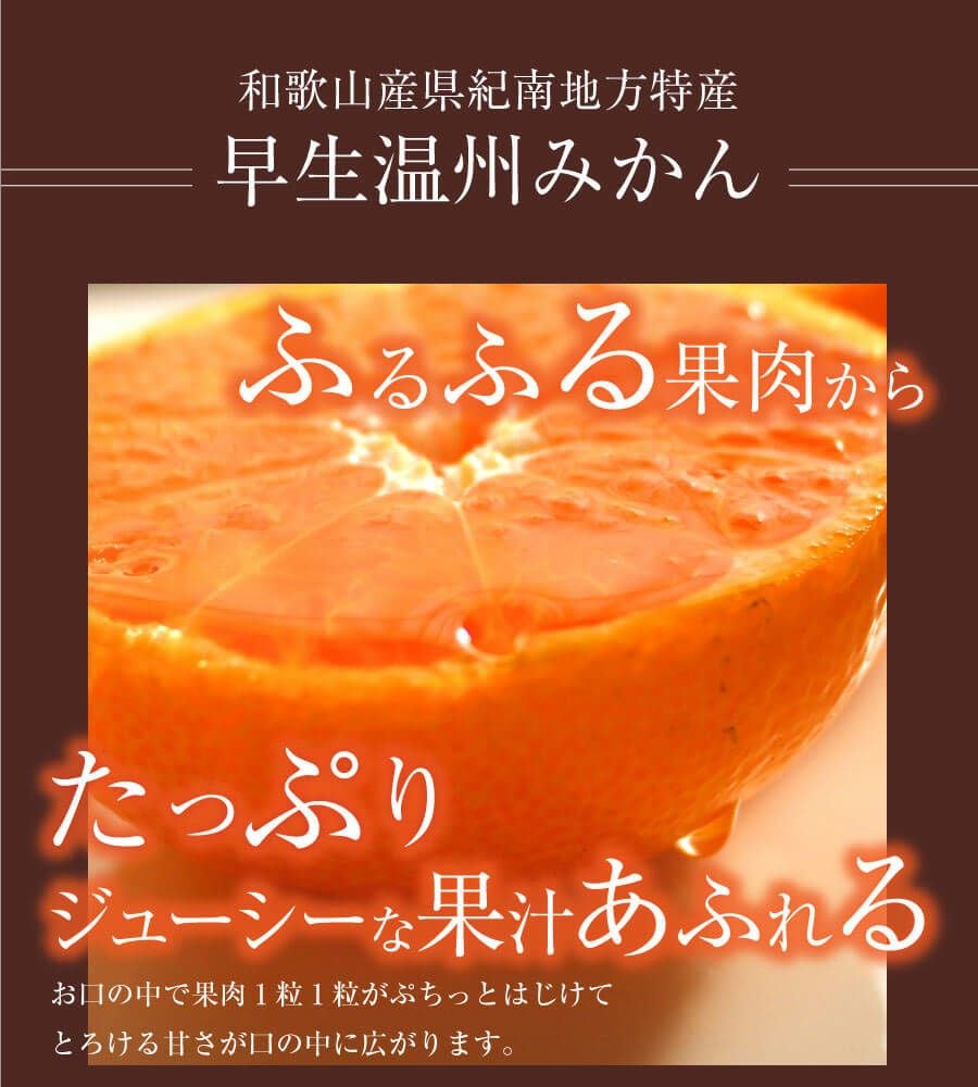 特選紀州南高梅】福の幸「梅干しとみかんセット」 | 紀州梅干し専門店