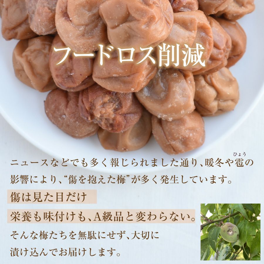 傷あり梅干し｜雹(ひよう）や自然災害を乗り越えたつぶれ梅 750g あま