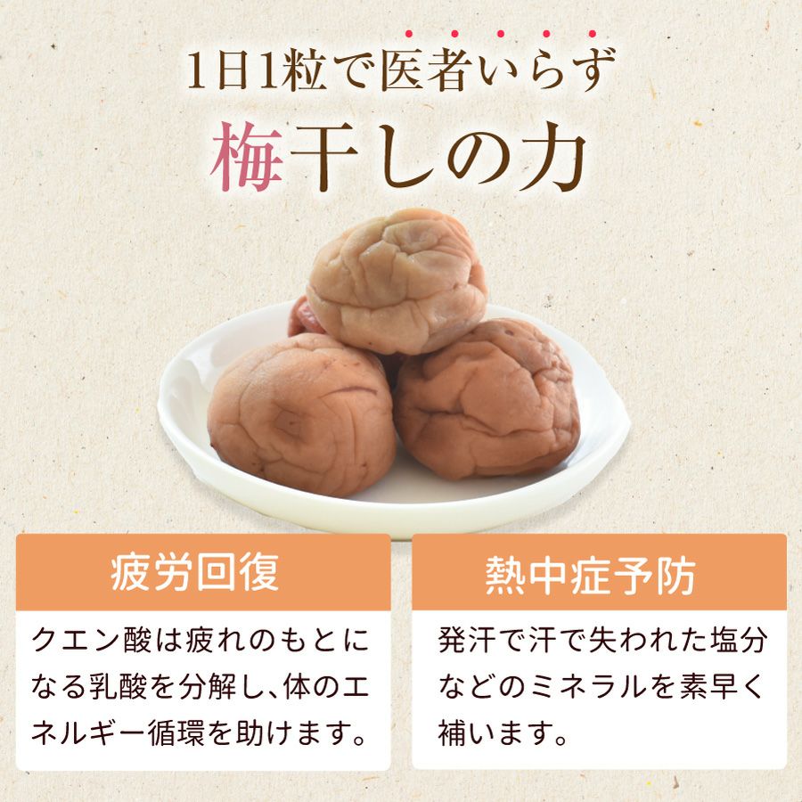 傷あり梅干し｜雹(ひよう）や自然災害を乗り越えたつぶれ梅 750g あま