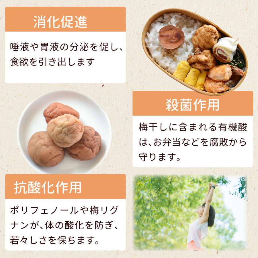 傷あり梅干し｜雹(ひよう）や自然災害を乗り越えたつぶれ梅 750g あま