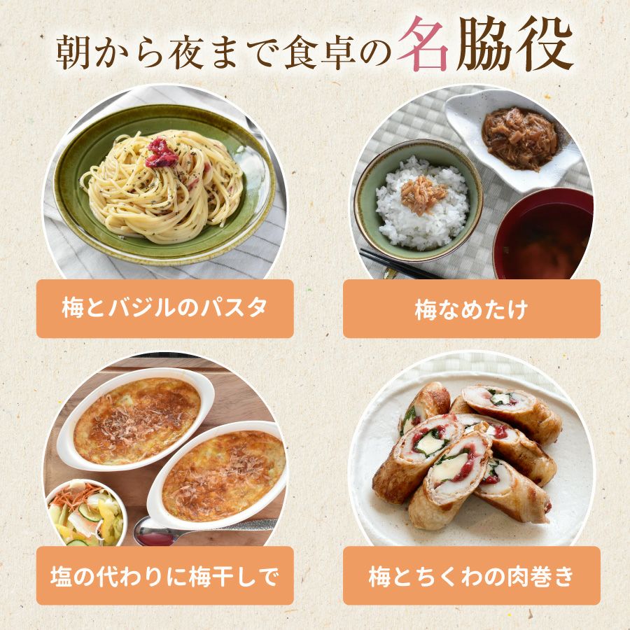 傷あり梅干し｜雹(ひよう）や自然災害を乗り越えたつぶれ梅 750g あま