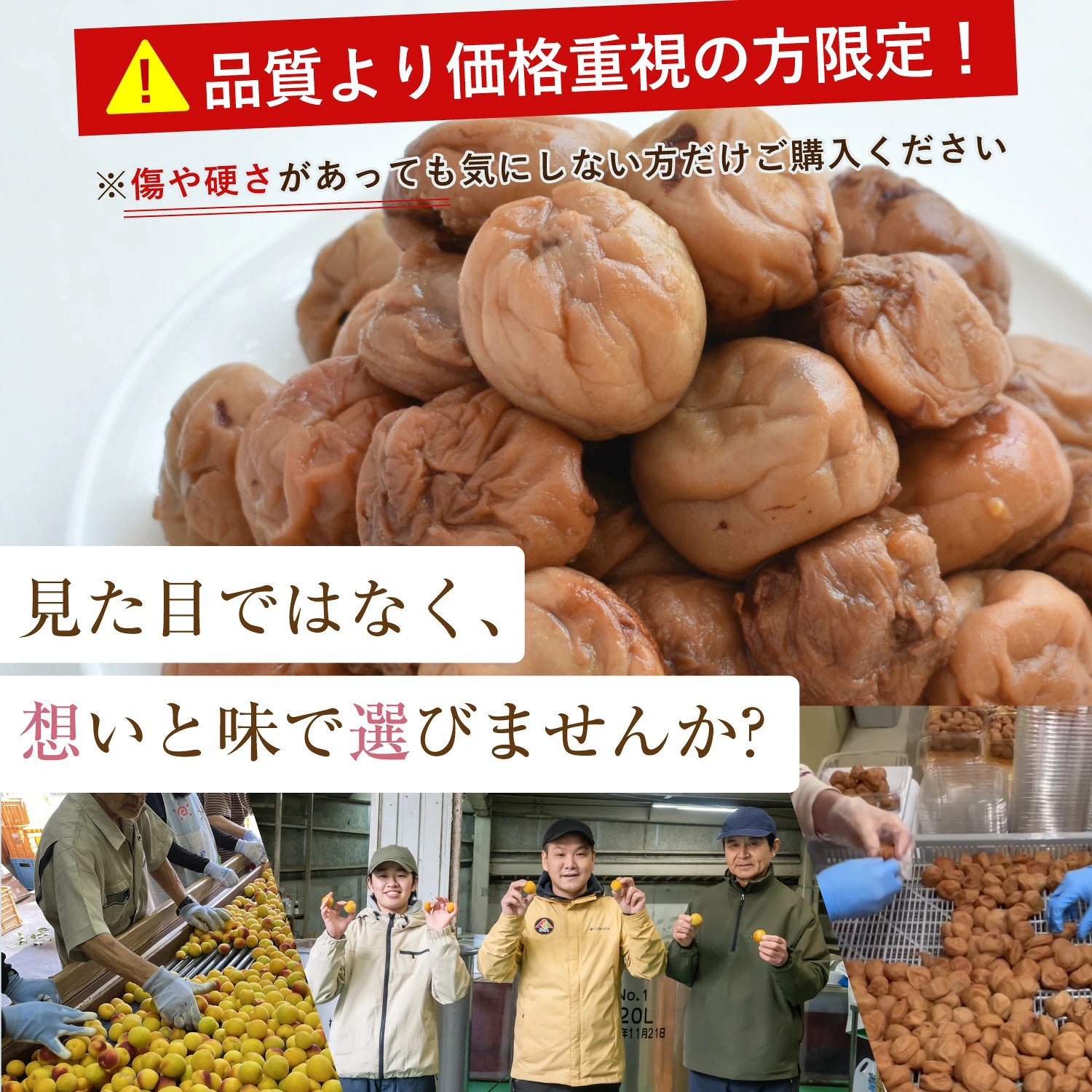 傷あり梅干し｜雹(ひよう）や自然災害を乗り越えたつぶれ梅 750g あま