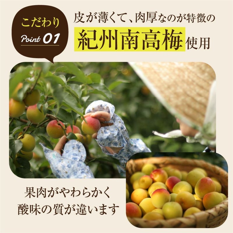 紀州南高梅使用