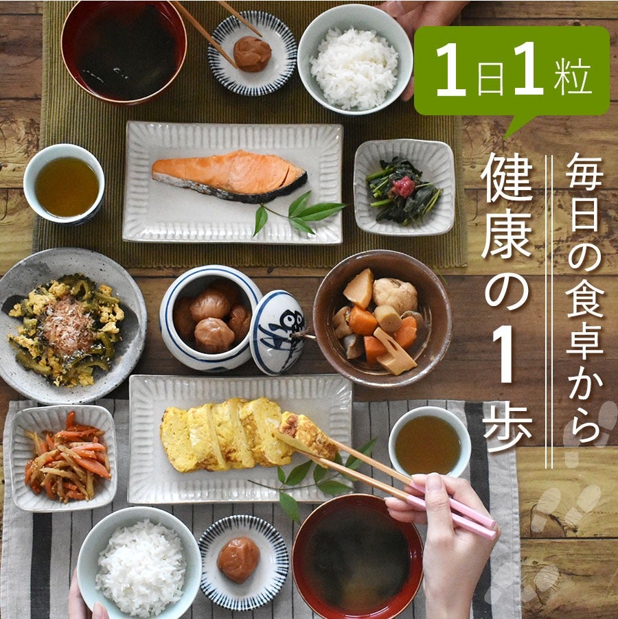 紀州南高梅 訳あり 梅干し5種を食べ比べ お試しセット | 紀州梅干し