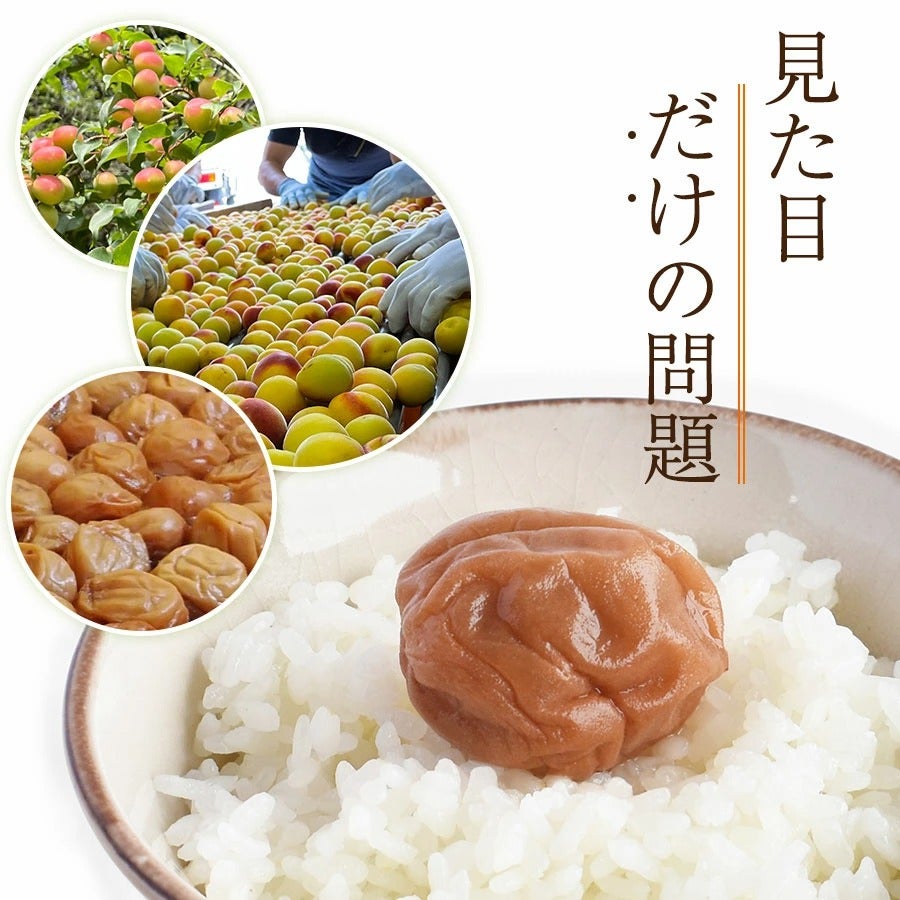 紀州南高梅 訳あり 梅干し5種を食べ比べ お試しセット | 紀州梅干し